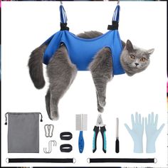 the cat is wearing a blue vest and it's contents include scissors, combs, gloves, hair clips, rubber gloves