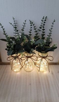 three mason jars filled with plants and lights