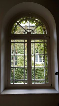 an arched window with ivy growing on it