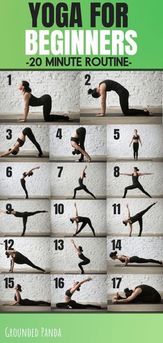 yoga for beginners 20 minute routine