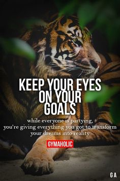 a tiger with the words keep your eyes on your goals while everyone is paying you're giving everything you got to transform