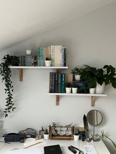 a white desk topped with books and plants