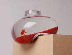 a fish in a bowl sitting on top of a wooden block next to a white wall