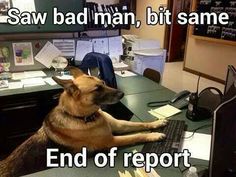 a dog sitting on top of a computer desk next to a monitor and keyboard with caption that reads saw bad man, bit bad man end of report