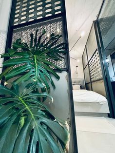 a large green plant sitting in front of a bed next to a mirror on the wall