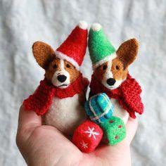 two miniature dogs wearing christmas hats and scarves