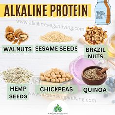 the health benefits of alkaline protein are shown in this graphic above it's description