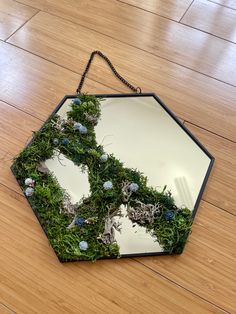 a mirror that is on the floor with moss growing in it and some rocks around it