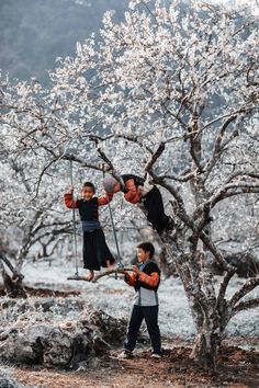 two children are playing on swings in a tree