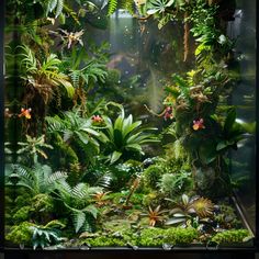 an aquarium filled with lots of green plants