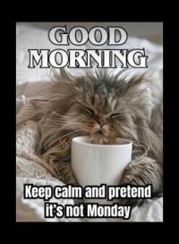 a cat that is laying down with a cup in it's mouth and the caption good morning keep calm and pretend it's not monday