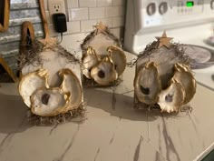 three open oysters sitting on top of a kitchen counter next to a dryer