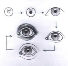 an eye diagram with all the different parts to see and how they are drawn in pencil