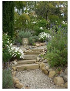 an outdoor garden with rocks and flowers in the foreground, along with steps leading up to a potted planter