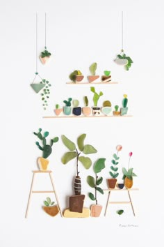 some plants are on shelves and hanging from the wall