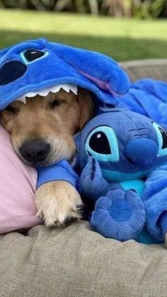 a dog laying on top of a bed with a stuffed animal