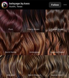 Dark Brown Hair With Foils, Different Shades Of Brunette, Balayage For Dark Skin Tone, Dark Copper Brown, Igora Hair Color, Shades Of Brunette, Hair Chart, Wishing Star, Two Tone Hair