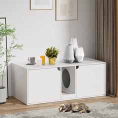 a cat laying on top of a rug next to a white shelf with vases