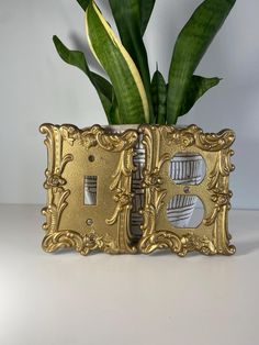 a plant in a gold frame with two lights on the front and one light on the back