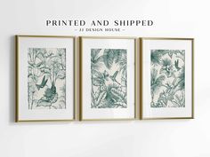 three framed pictures hanging on the wall with plants and birds in green, white and gold frames