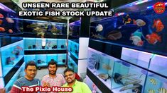 three men are standing in front of fish tanks with the words unseen rare beautiful exotic fish stock update