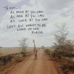 a giraffe walking down a dirt road with a quote written on the side