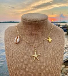 14K gold Plated charm choker with multiple sea life charms hanging down! This choker is the cutest necklace for summertime or any ocean lover 🌊 14K gold plated choker with 24K gold plated extender and lobster claw clasp, there is a gold plated starfish charm hanging down the middle & then a gold plated sea turtle charm & a cowrie shell charm ☀️ Adjustable Gold Ocean-inspired Charm Necklace, Gold Charm Necklace For Vacation, Gold Charm Necklaces For Vacation, Tiffany Nelson, Summer Choker, Shark Tooth Necklace, Tooth Necklace, Turtle Charm, Ocean Lover