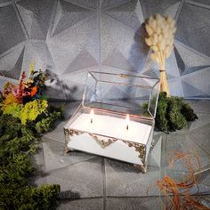 a candle is lit in front of a glass box with moss and flowers on it