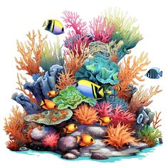 an underwater scene with corals and fish