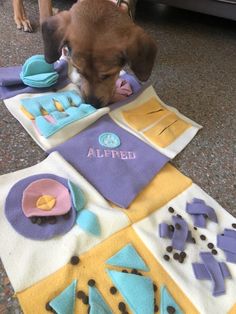 a dog is playing with his toys on the floor in front of a carpeted area