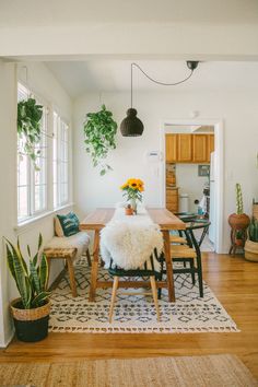 a dining room table surrounded by plants and potted houseplants on top of a rug