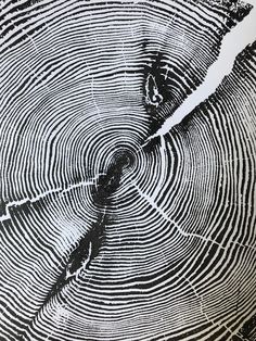 a black and white image of a tree trunk showing the cross section in which it is cut