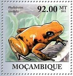 a postage stamp with an image of a frog on it's back and the words mocambique