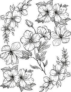 some flowers are drawn in black and white