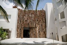 an entrance to a building with palm trees in the foreground and white walls on either side