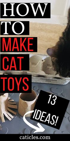 a cat is playing with toys on the floor and it's caption reads how to make cat toys 13 ideas