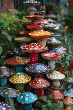 many different colored mushrooms are in the garden