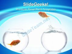 two goldfishs jumping out of the water to each other