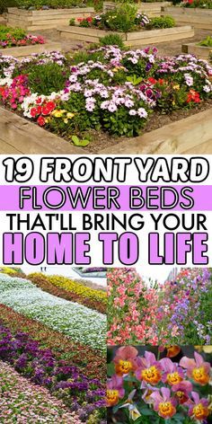 different types of flowers and plants with the words 19 front yard flower beds that bring your home to life