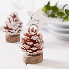 two small pine cones are sitting next to each other on a white table with a tag hanging from the top