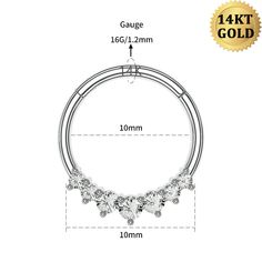 The simple and elegant 14k solid white gold and CZ gemstones design. The daith jewelry is a hinge segment design, which is easier to open and close and is not easy to deform. Gold Daith Jewelry, Daith Ring, Titanium Belly Button Rings, Daith Hoop, Daith Rings, Daith Jewelry, Ring Day, Conch Hoop, Dangle Belly Rings