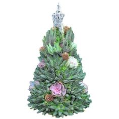 a small christmas tree made out of succulents and other greenery on a white background