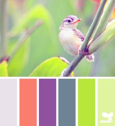 a small bird perched on top of a green leafy plant with color swatches