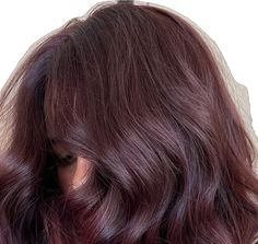 Brunette Purple Undertones, Light Brown Plum Hair, Berry Brunette Hair, Cherry Brown Hair Aesthetic, Reddish Purple Brown Hair, Deep Berry Hair Color, Dark Solid Hair Color, Purple Light Brown Hair, Hair Colours For Dark Hair