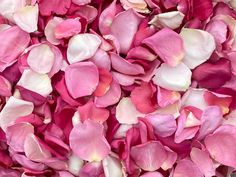 pink and white flowers are scattered on top of each other in this close up photo