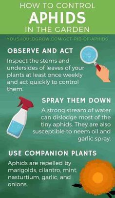 an info sheet describing how to control plants in the garden and how to use them