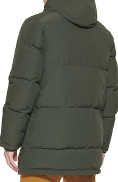 Stay cozy in ultimate style with this must-have quilted puffer jacket that's designed with a nifty hood. 33" length (size M) Attached hood Long sleeves Front zip closure with snap storm placket Chest welt pockets Front flap pockets 86% polyester, 14% cotton Machine wash, tumble dry Imported Model stats: 6'0" height; 32" waist. Model is wearing size M. Quilted Puffer Jacket, Puffer, Winter Jackets, Nordstrom, Long Sleeve, How To Wear