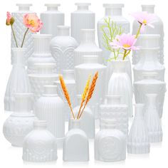 there are many white vases with flowers in them