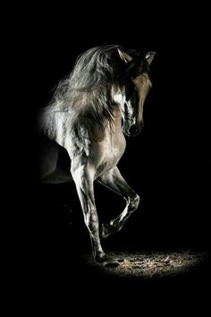 a horse is galloping in the dark with it's front legs spread out