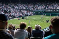 people watching a tennis match on a large grass court with many spectators in the stands